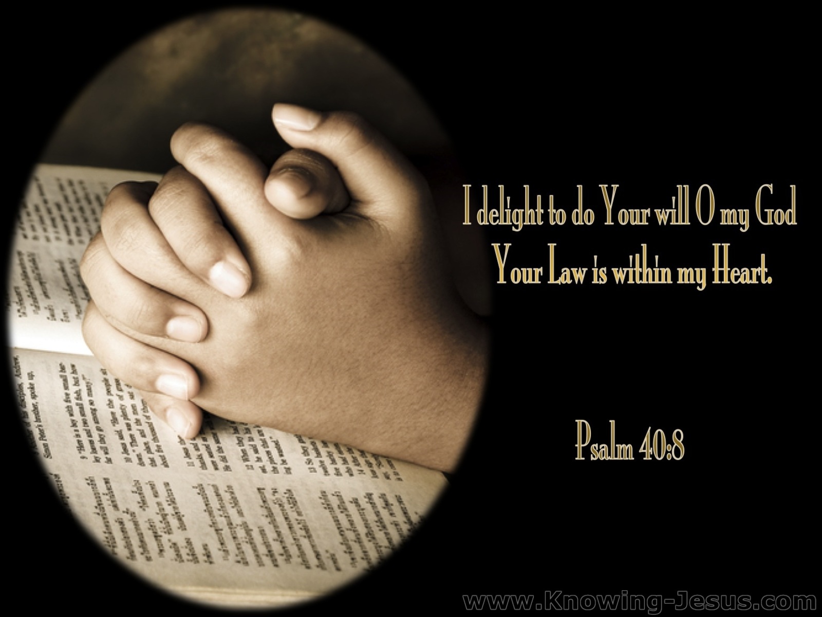 Psalm 40:8 I Delight To Do Your Will (black)